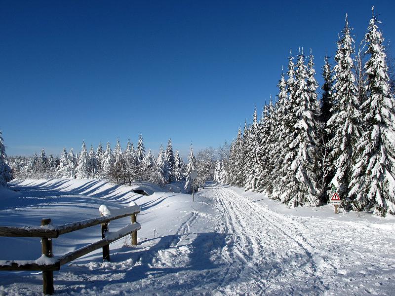 2010-01-31, Altenberg (8).JPG